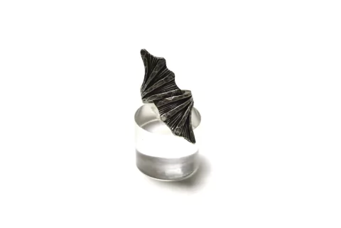 Anillo Anturio on internet