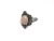 Anillo Kiel - buy online