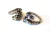 ANILLO LEOPARDITO