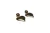 Aros Cate - online store