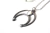 Collar Coyote - buy online