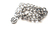 Pulsera Tiny Zodiac - online store