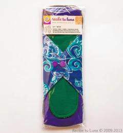 Super Pack Toallitas Modelo Antiguo tipo librito