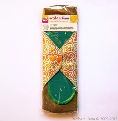 Super Pack Toallitas Modelo Antiguo tipo librito - Recibe tu Luna