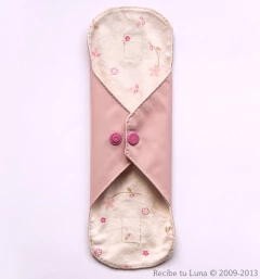 Super Pack Toallitas Modelo Antiguo tipo librito en internet