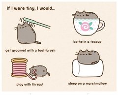 I Am Pusheen the Cat en internet