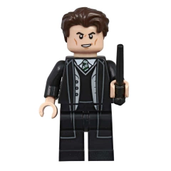 LEGO® Harry Potter Magical Treasury: A Visual Guide to the Wizarding World - Children's Books