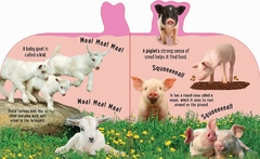 Discovery: Noisy Baby Animals! (10-Button Sound Books) - Children's Books