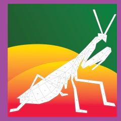 Paint by Sticker Kids: Beautiful Bugs: Create 10 Pictures One Sticker at a Time! (Kids Activity Book, Sticker Art, No Mess Activity, Keep Kids Busy) Paperback en internet