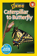 Caterpillar to Butterfly