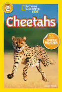 Cheetahs