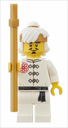 Imagen de LEGO NINJAGO Visual Dictionary, New Edition: With Exclusive Teen Wu Minifigure