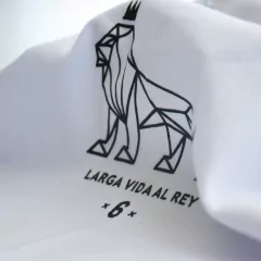 Imagen de Remera Lebron (VL211149)