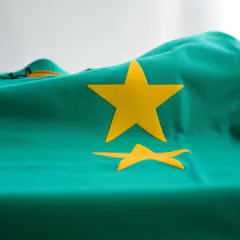 Imagen de Remera Camerún (DI321153)
