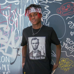 Remera West Coast (VL221123) - tienda online