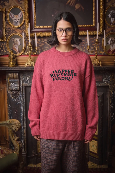 Harry Potter Happee Birthdae Sweater