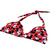 Mickey Bikini on internet