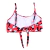 Mickey Bikini - buy online