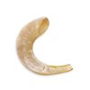 Shofar de Carnero de 19 a 27 cm aproximado SE1