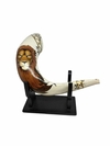 Combo Shofar de leon de judas con atril - (copia) - (copia) - comprar online