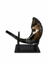 Combo Shofar de leon de judas con atril - (copia) - (copia) - (copia) - (copia) - comprar online