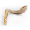 Shofar de carnero de aproximado 65 cm cm con atril y manual de uso en internet