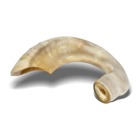 Shofar De Carnero SAA6 De 48 A 55 Cm Con Manual De Uso