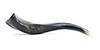 Shofar de Antilope/Yemenita de hasta 49 cm - comprar online