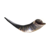 Shofar grande de cabra 41 a 44 cm G4