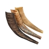 Shofar de Cabra 21 a 29 cm G1