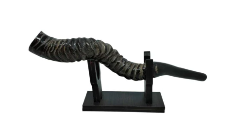 Shofar de Antílope Original Único - 38 a 40 cm (Aprox.) con Atril - comprar online