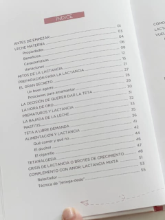 Cuaderno de Lactancia con consejos y tips - comprar online