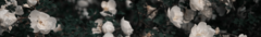 Banner de la categoría SALE