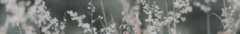 Banner de la categoría Bombachas 