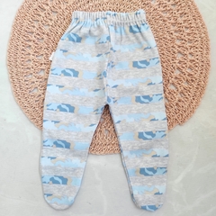 Ranita camuflado celeste