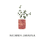Potted Plant - Tarjetas Serie Box - comprar online