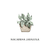Potted Plant - Tarjetas Serie Box - tienda online