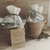 Kit de Cultivo con Maceta Biodegradable – Sembrá y Cuidá la Naturaleza