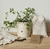 Set de Jardinería Aromática – Cultiva y Disfruta en Casa