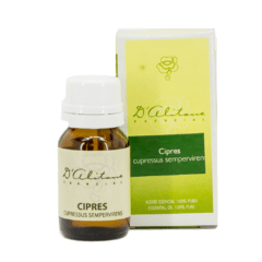 Ciprés (cupressus sempervirens) - comprar online