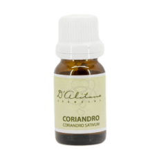 Coriandro (coriandrum sativum)