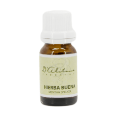 Hierba Buena (Mentha Spicata)