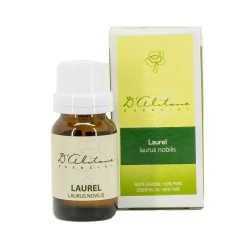 Laurel (Laurus Nobilis) - comprar online