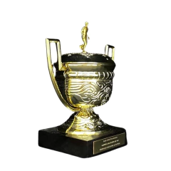 Mini Troféu Brasileiro 1937 na internet