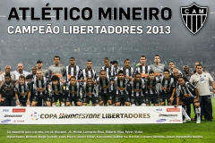 COPA LIBERTADORES 2013 na internet