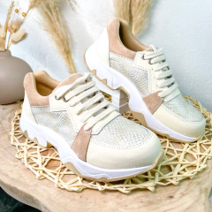 ILLINOIS en internet