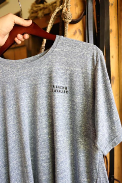 Remera puestero en internet