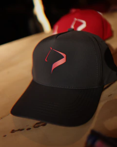 CAP LA IRENITA - LA HACHE - Cavalier Polo