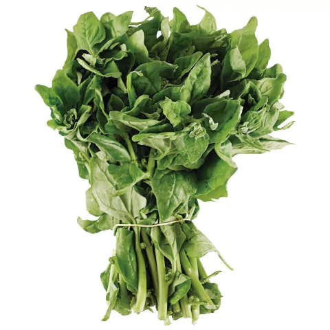 Espinafre orgânico (unidade)