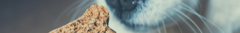 Banner de la categoría GOLOSINAS PARA PERROS